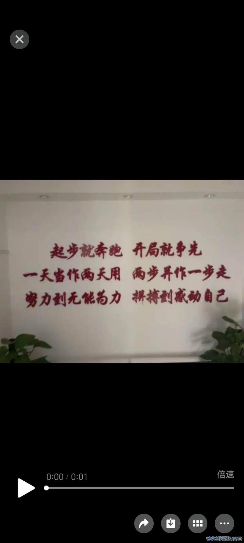 郑浩乾：与武汉情缘深厚 成功来自每一步的坚持